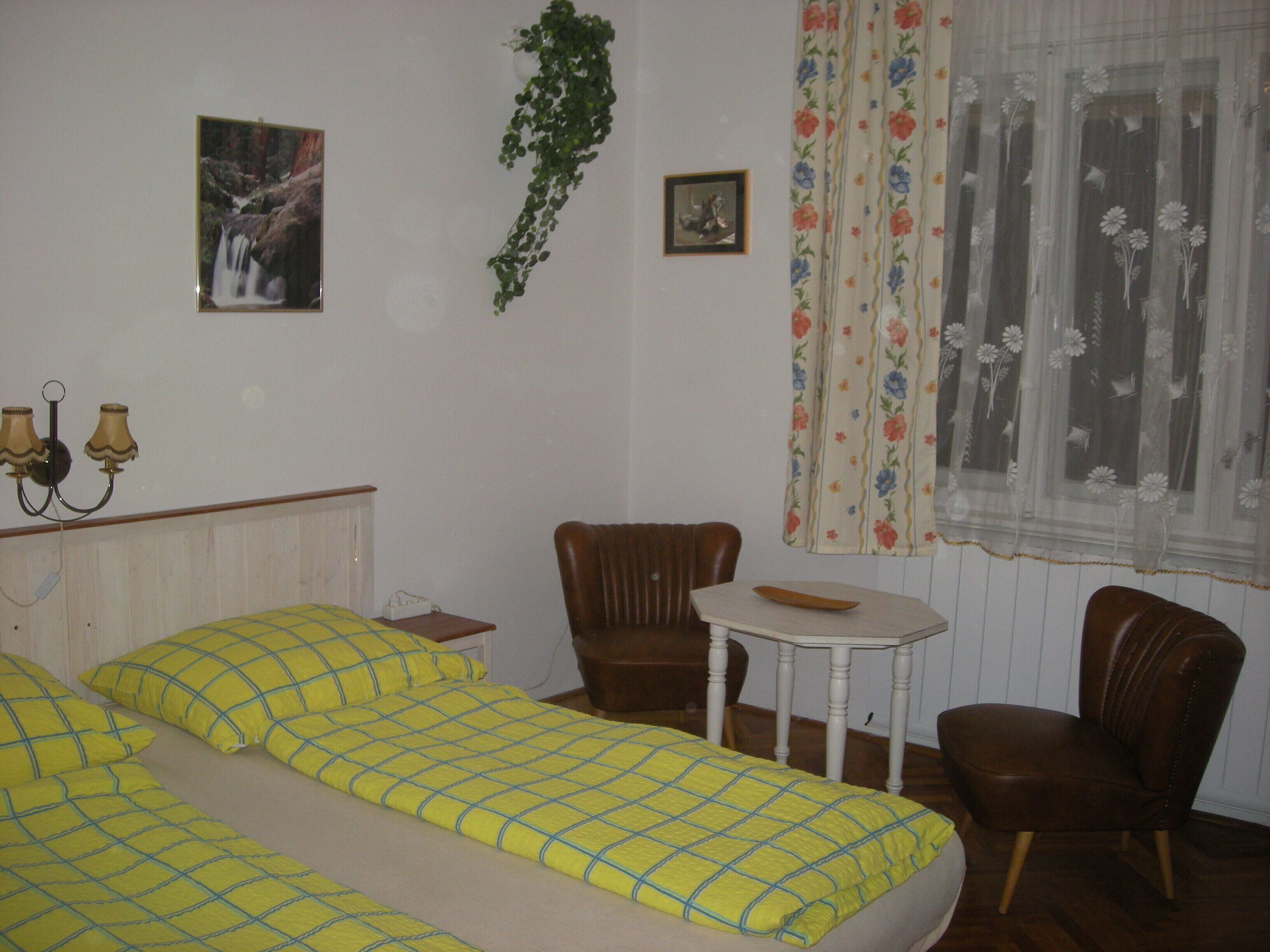 A bedroom with two beds, a small table, two chairs, a hanging plant, and a window with floral curtains.