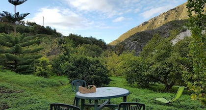 Charming country house with a garden