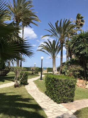 Stroll through the beautifully manicured garden, lined with palm trees and neatly trimmed hedges.