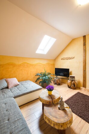 Fernseher, Kamin, DVD-Player