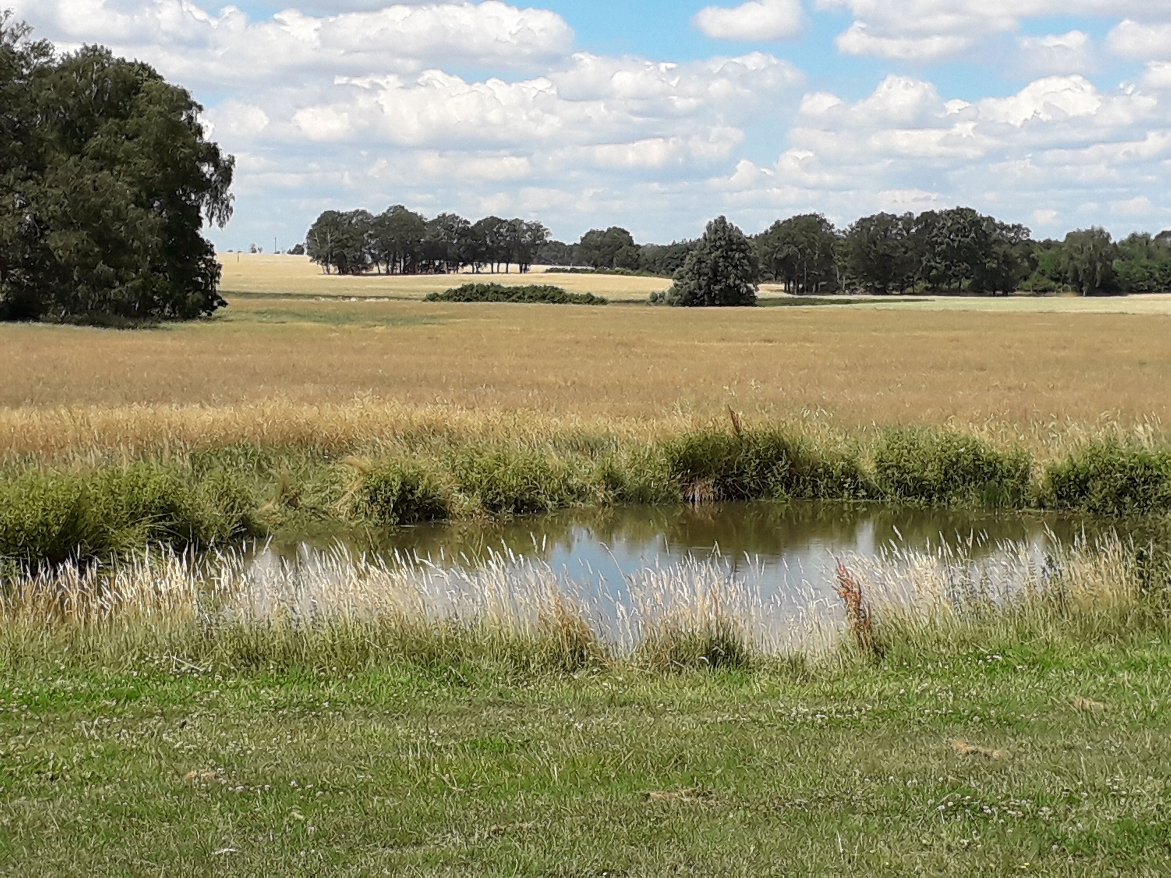 Idyllic holiday home in the midst of old market meadows and fields