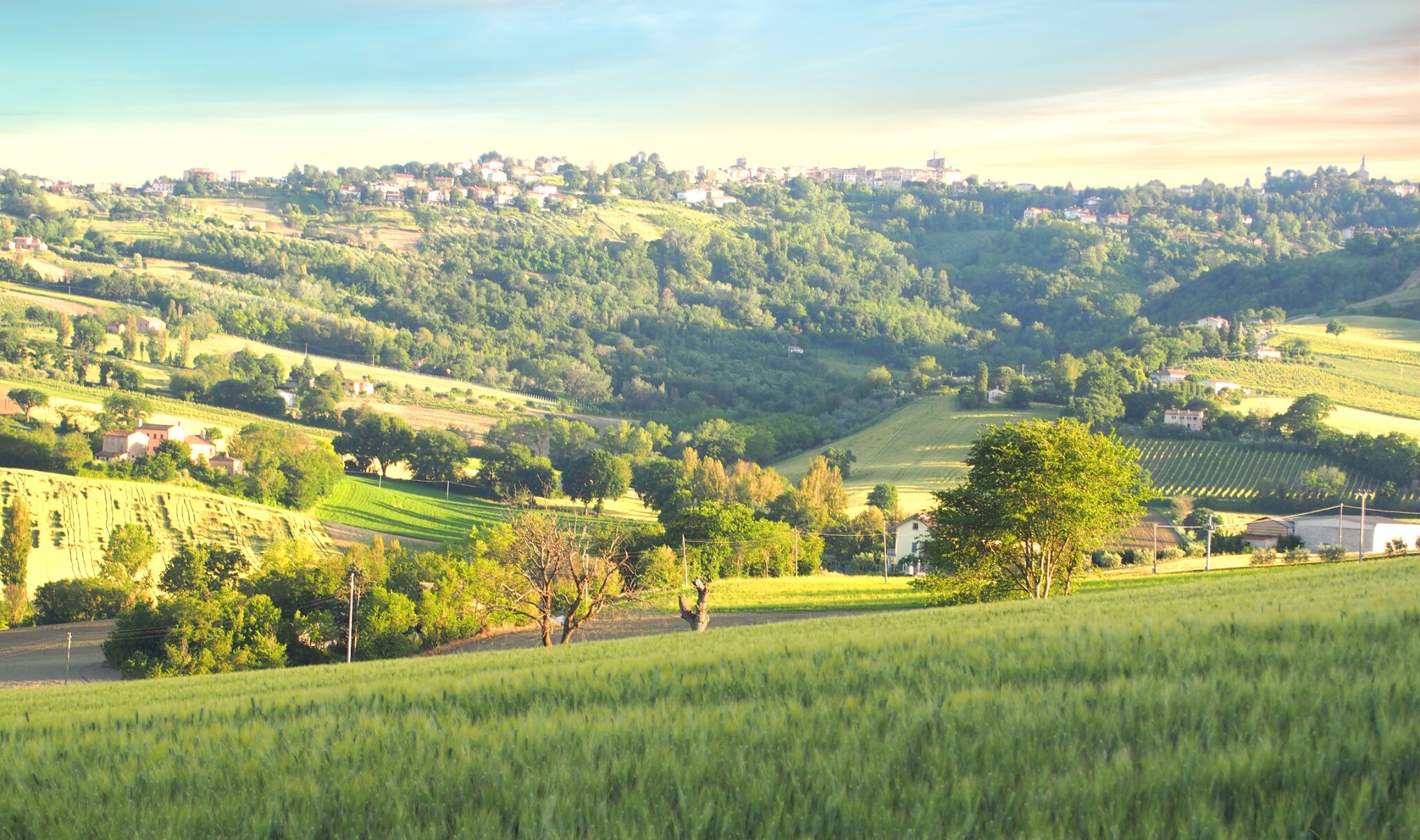 Casa Montale, 4/5 Cantina, typical country house, gr. Pool, secluded location, panoramic views