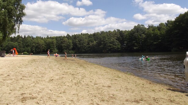 A sandy beach with a lake, trees, and a clear sky. - Holiday house in the Lüneburg Heath up to 4 people (Suderburg)
