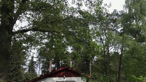 A small white cabin with a red roof, surrounded by dense trees and a wooden fence. - Holiday house in the Lüneburg Heath up to 4 people (Suderburg)