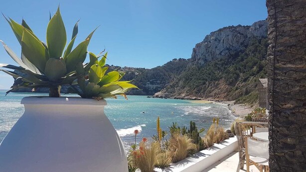 Vetta costiera con un vaso bianco e piante verdi, una scogliera rocciosa e una spiaggia con alcune persone in acqua.