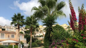 Un vialetto fiancheggiato da palme e bouganville, che conduce a un edificio con facciata beige e ringhiere bianche.