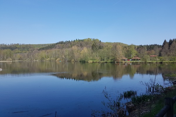 Sommer am Schöntalweiher-200 Meter von der Wohnung entfernt