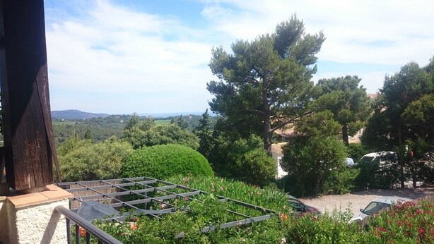 Ein Garten mit einer Metall-Rankhilfe, umgeben von üppigem Grün und blühenden Pflanzen.