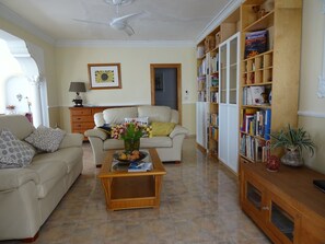 Fernseher, Kamin, Bücher, Musikbibliothek