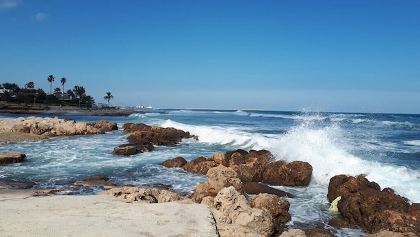 Una costa rocosa con olas rompiendo contra las rocas.