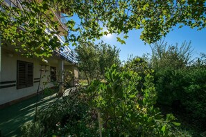 المنطقة المحيطة بالمنشأة