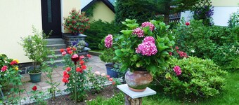 Klingenthal - 4-star holiday home 