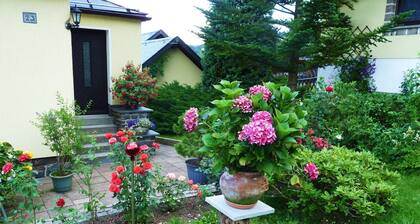 Klingenthal - 4-star holiday home