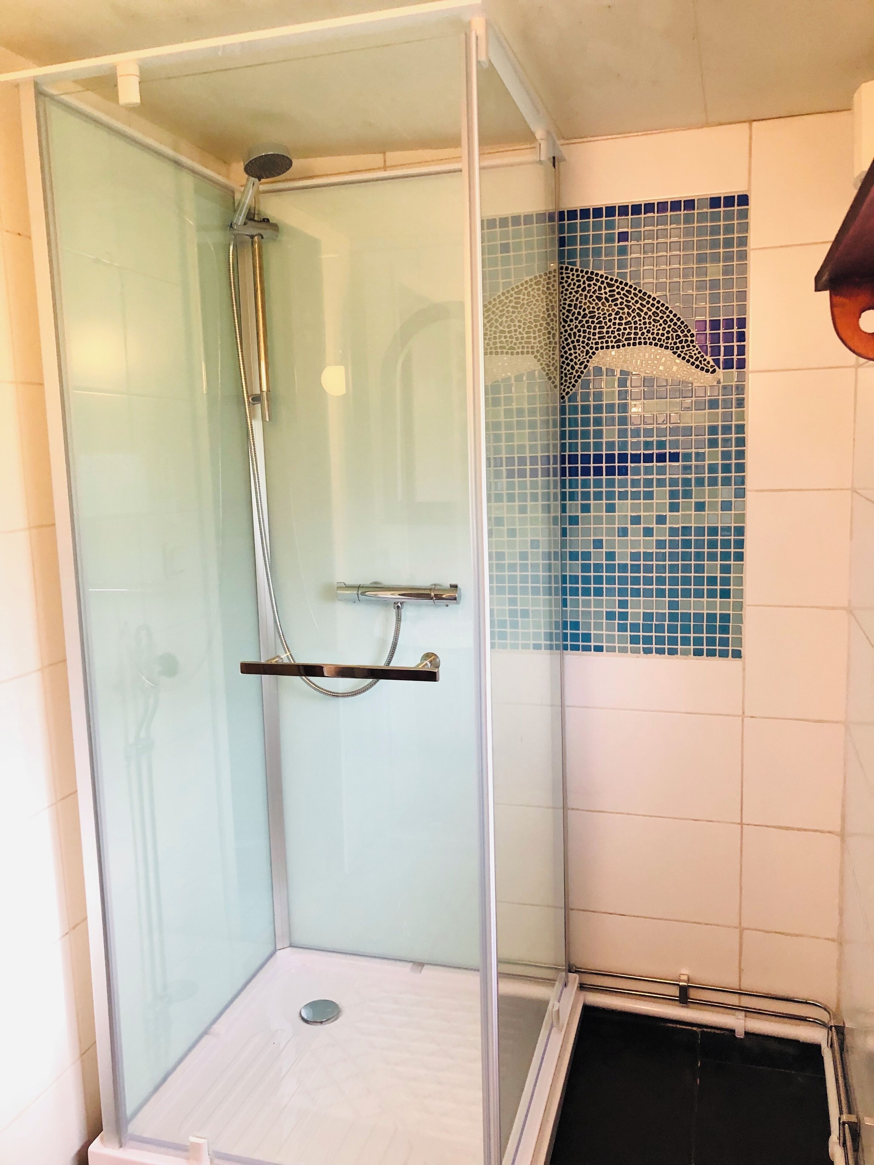 A glass-enclosed shower with a handheld showerhead and a handheld shower head.
