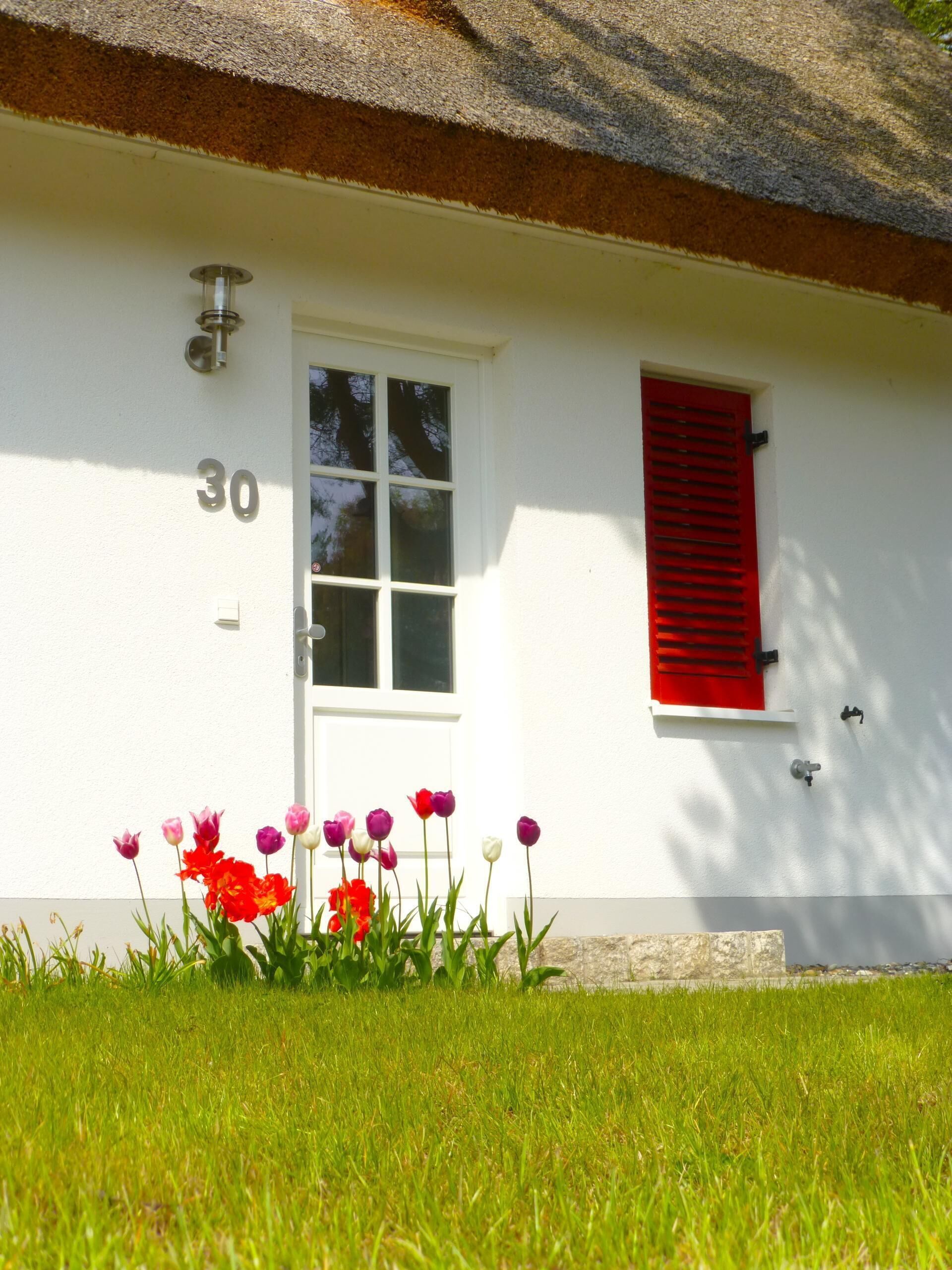 A white building with a red window shutter, a door marked with the number 30, and a small garden with tulips.