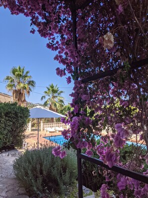 Un espace piscine agrémenté d’une pergola recouverte de fleurs violettes, de palmiers et surplombé d’un ciel d’un bleu limpide.