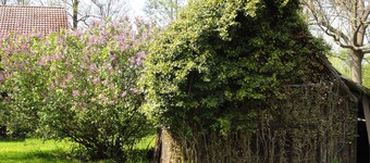 Vacation apartment "Spreewaldgurke" directly on the river - Spreewaldhof Schupan 