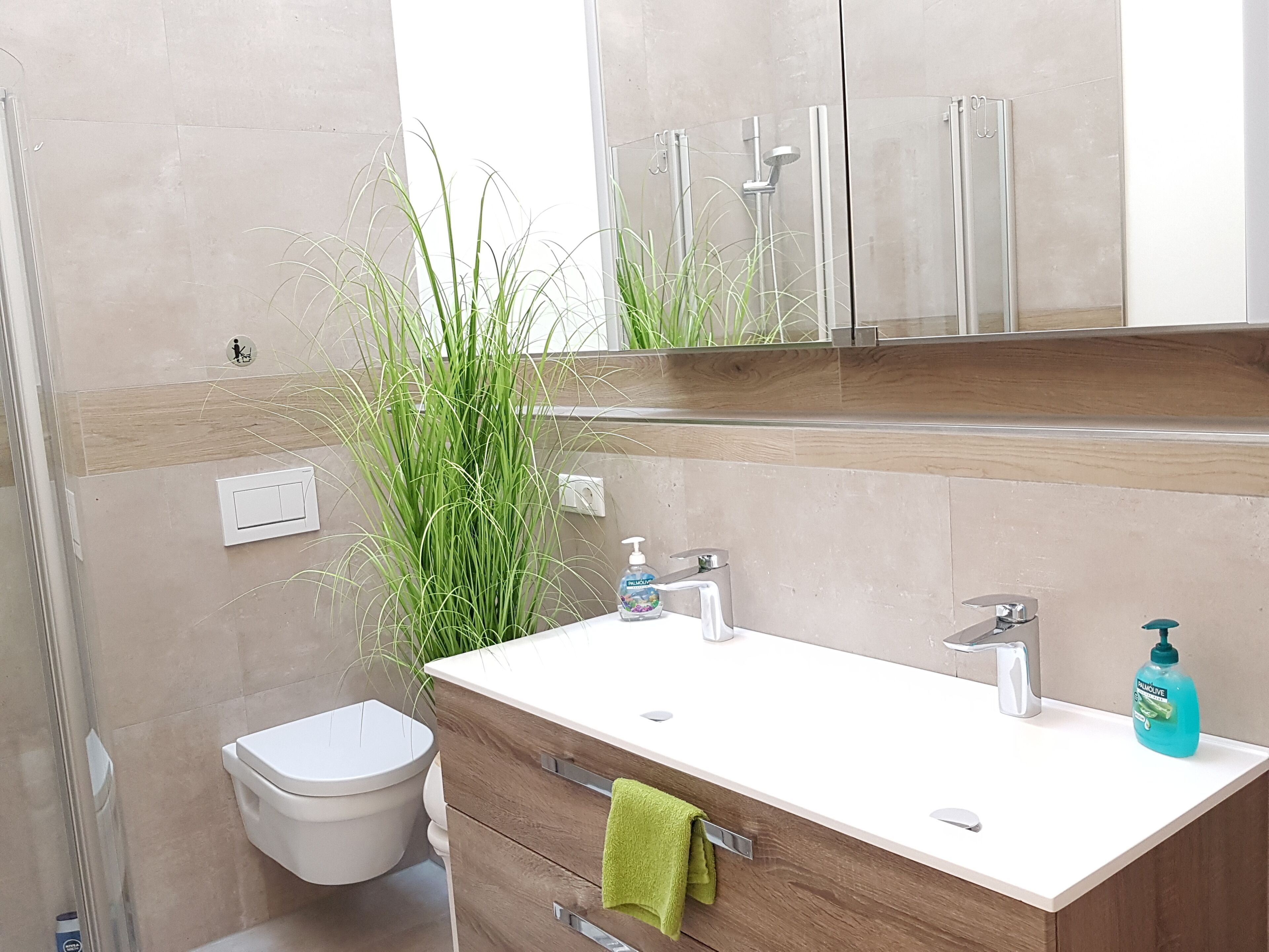 Ducha, secador de pelo y toallas