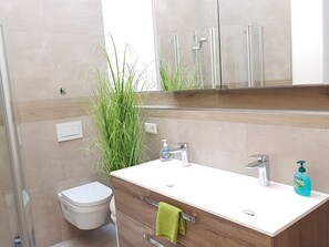 Shower, hair dryer, towels