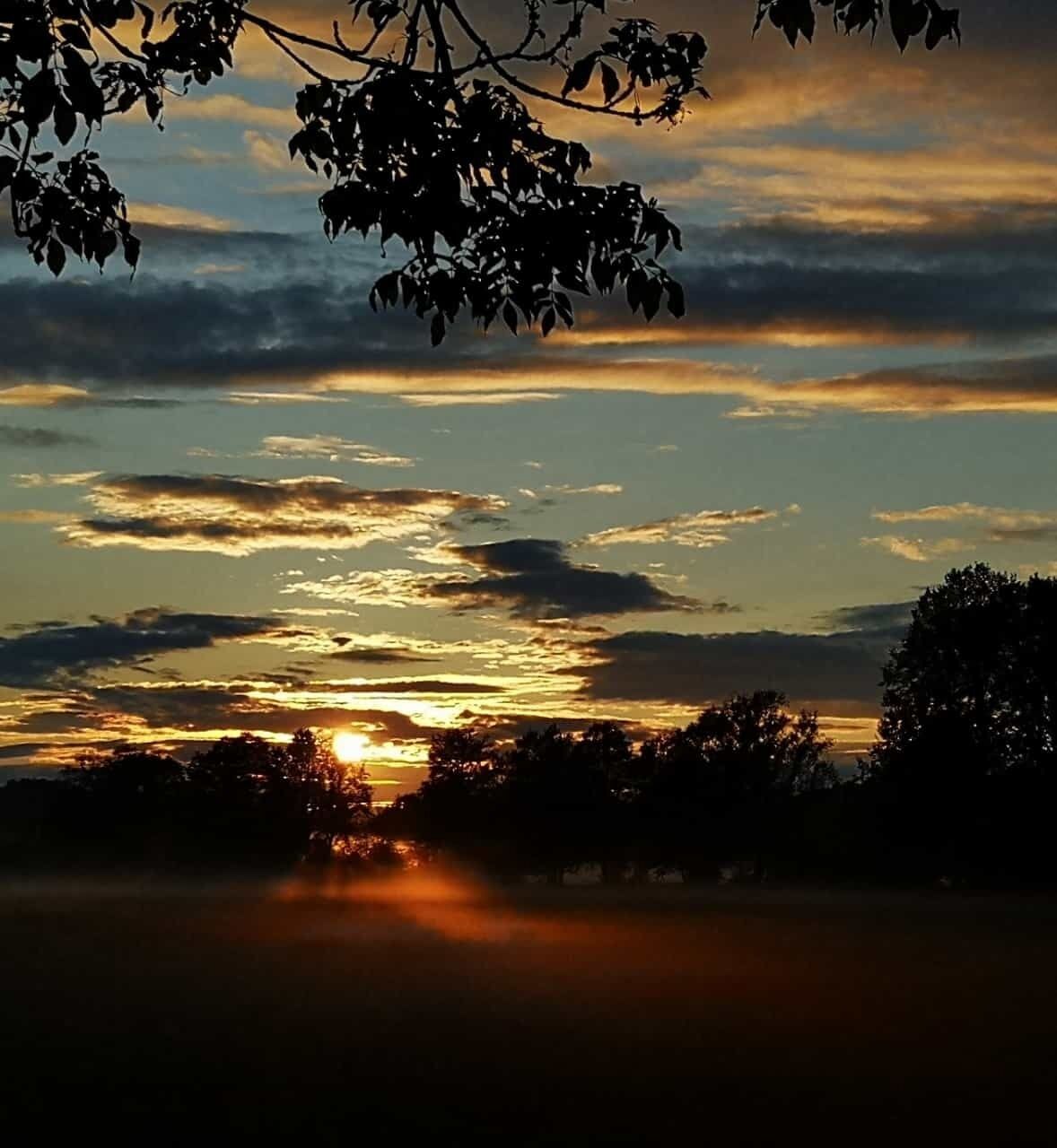 Um pôr do sol com nuvens e silhuetas de árvores.