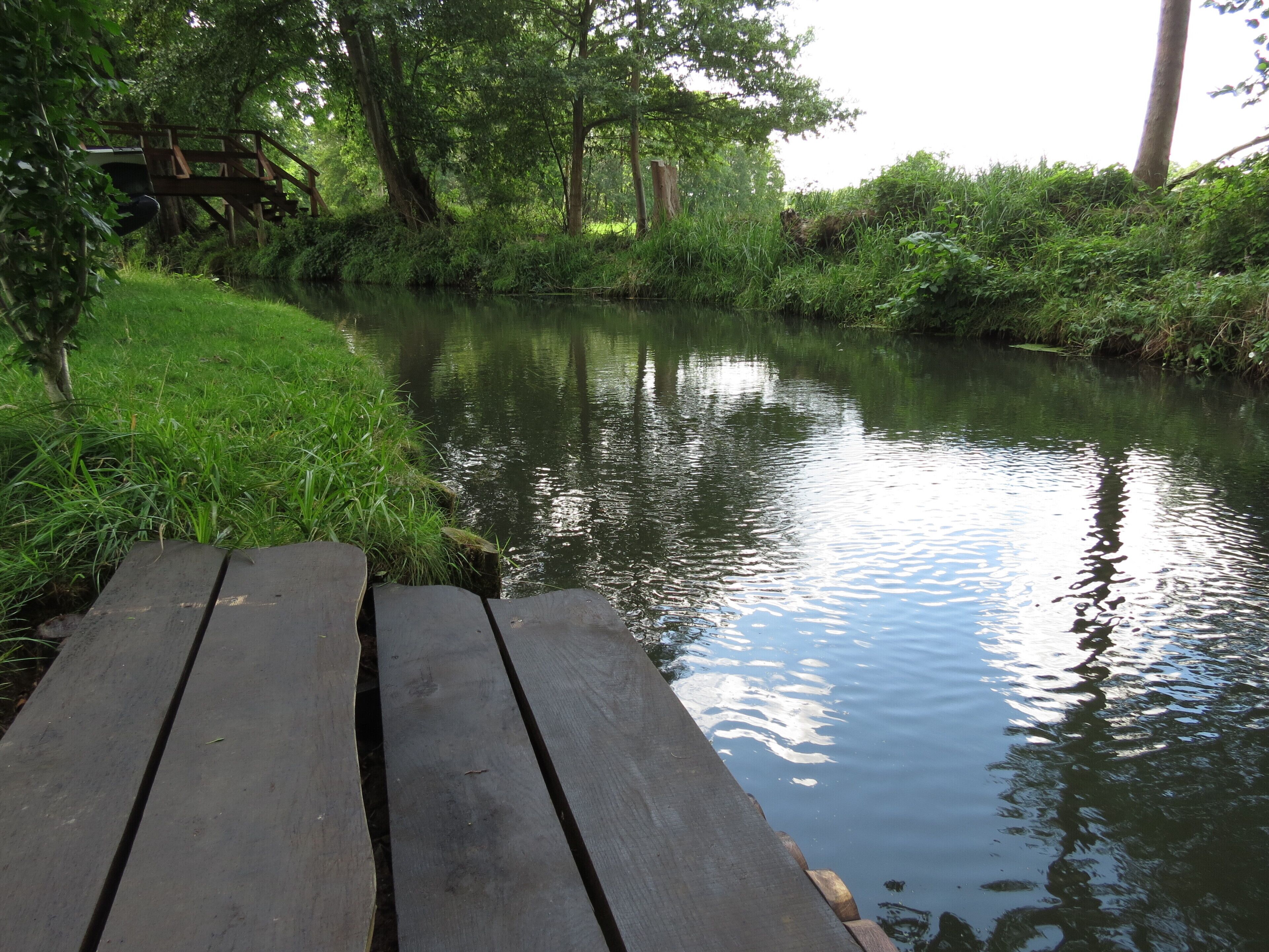 A wooden dock extending over a calm river surrounded by lush greenery.