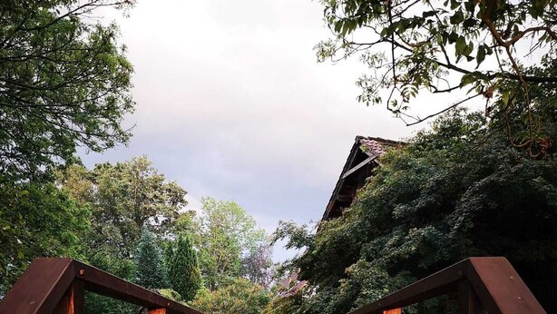 Un pont en bois menant à un bâtiment doté d’un toit en pente, entouré d’arbres.