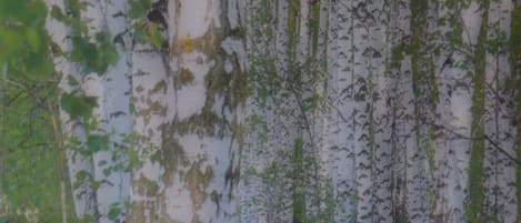 1 chambre, accĂšs au Wi-Fi (inclus), literie fournie
