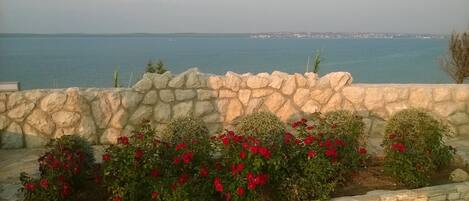 المنطقة المحيطة بالمنشأة