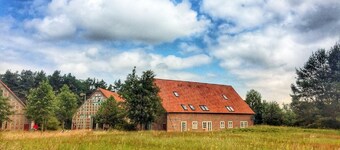 美しいリューネブルク荒野でのリラクゼーション