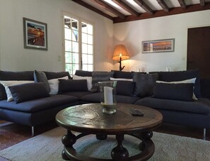 TV, fireplace, books