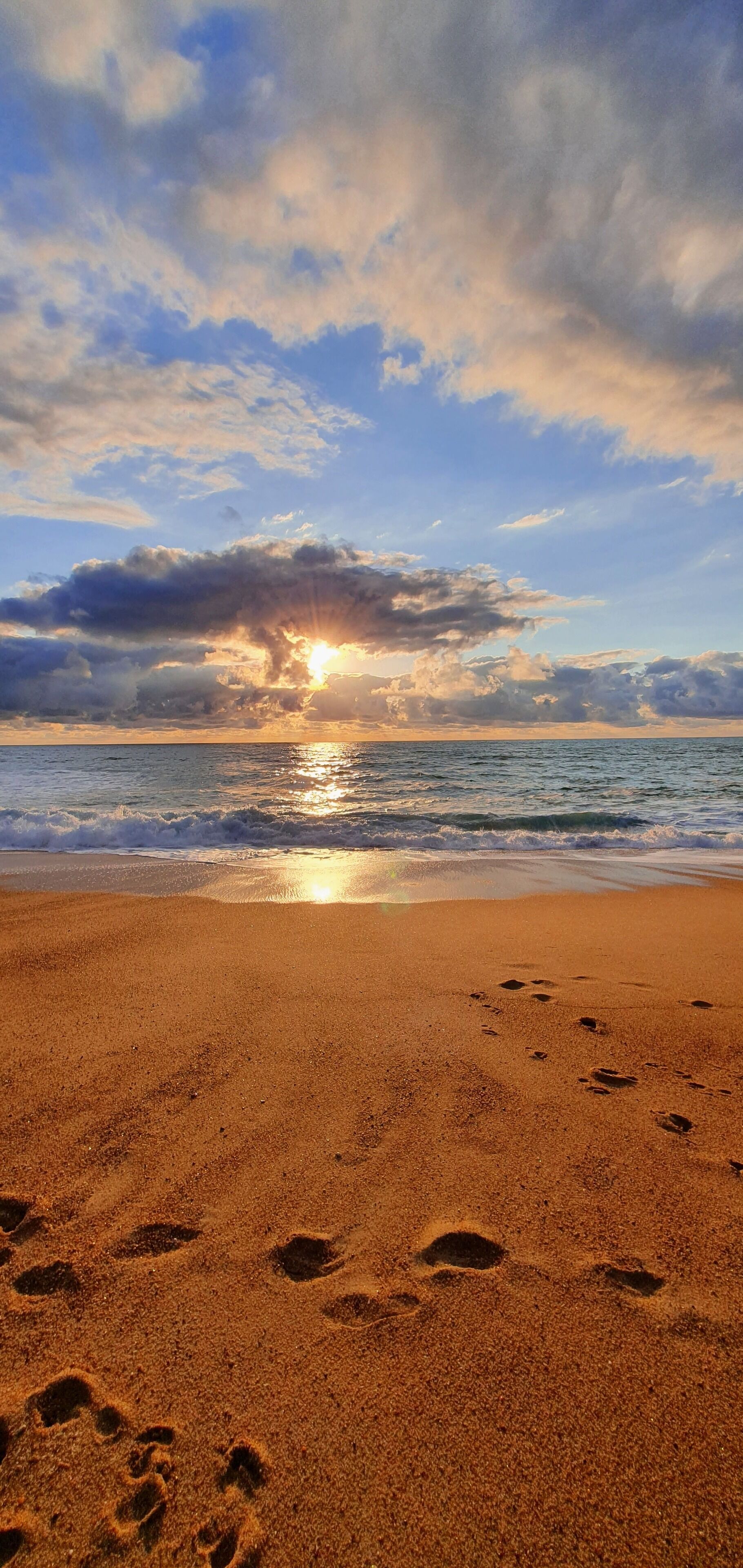 Beach nearby, sun loungers
