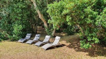 Jardines del alojamiento