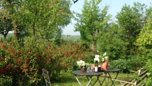 Un jardín con mesa y sillas, rodeado de follaje y flores.
