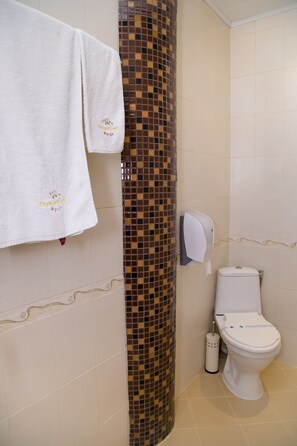 Secadora de cabello, toallas, jabón, shampoo