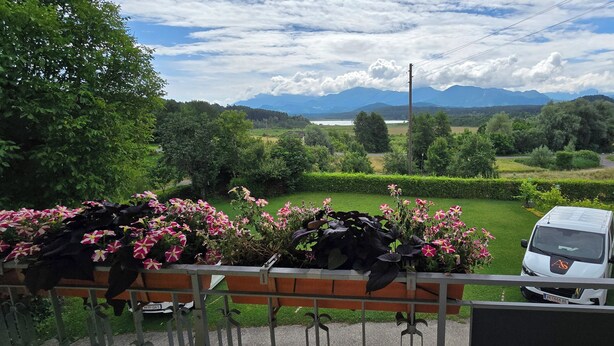A balcony with a view of a green landscape, a white van, and a flower box with pink flowers.