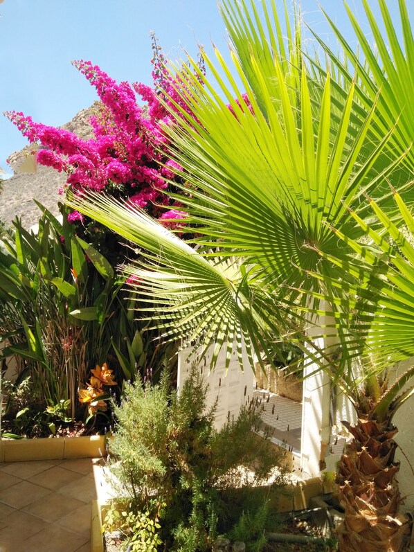 Property grounds - Romantic well kept bungalow in Tenerife's sunny south (Valle San Lorenzo)