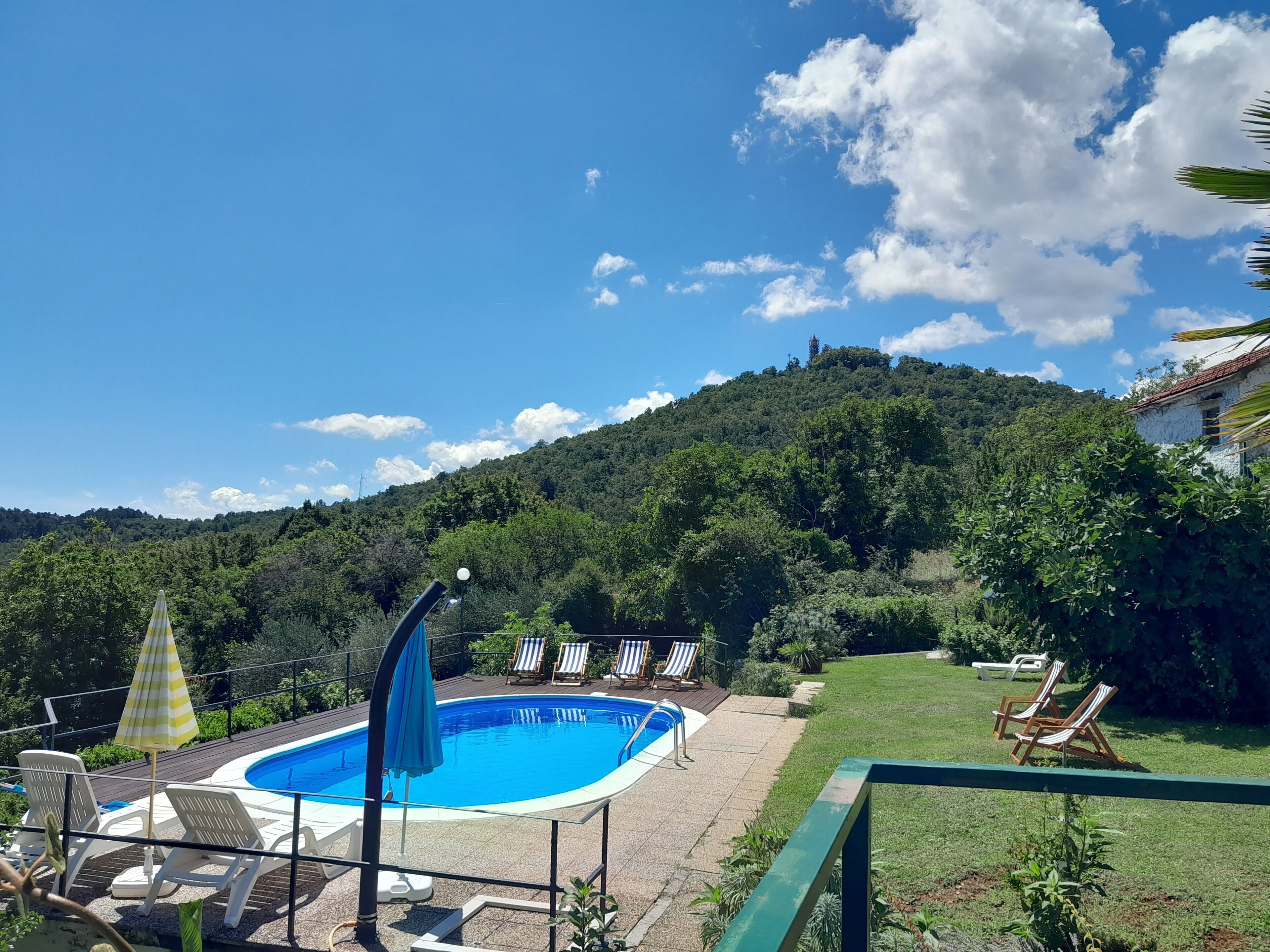 Une piscine entourée de chaises longues et de parasols, bordée d’une pelouse et d’une colline boisée.