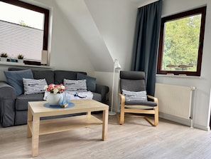 Televisio, DVD-soitin, kirjoja, stereot