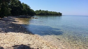 Une plage de galets bordée d’une eau claire et d’une végétation luxuriante.