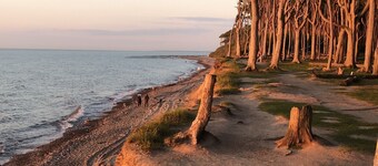 Quiet holiday home right on the Baltic Sea near Warnemünde