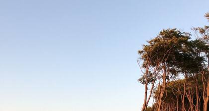 Ruhig gelegenes Ferienhaus direkt an der Ostsee nahe Warnemünde