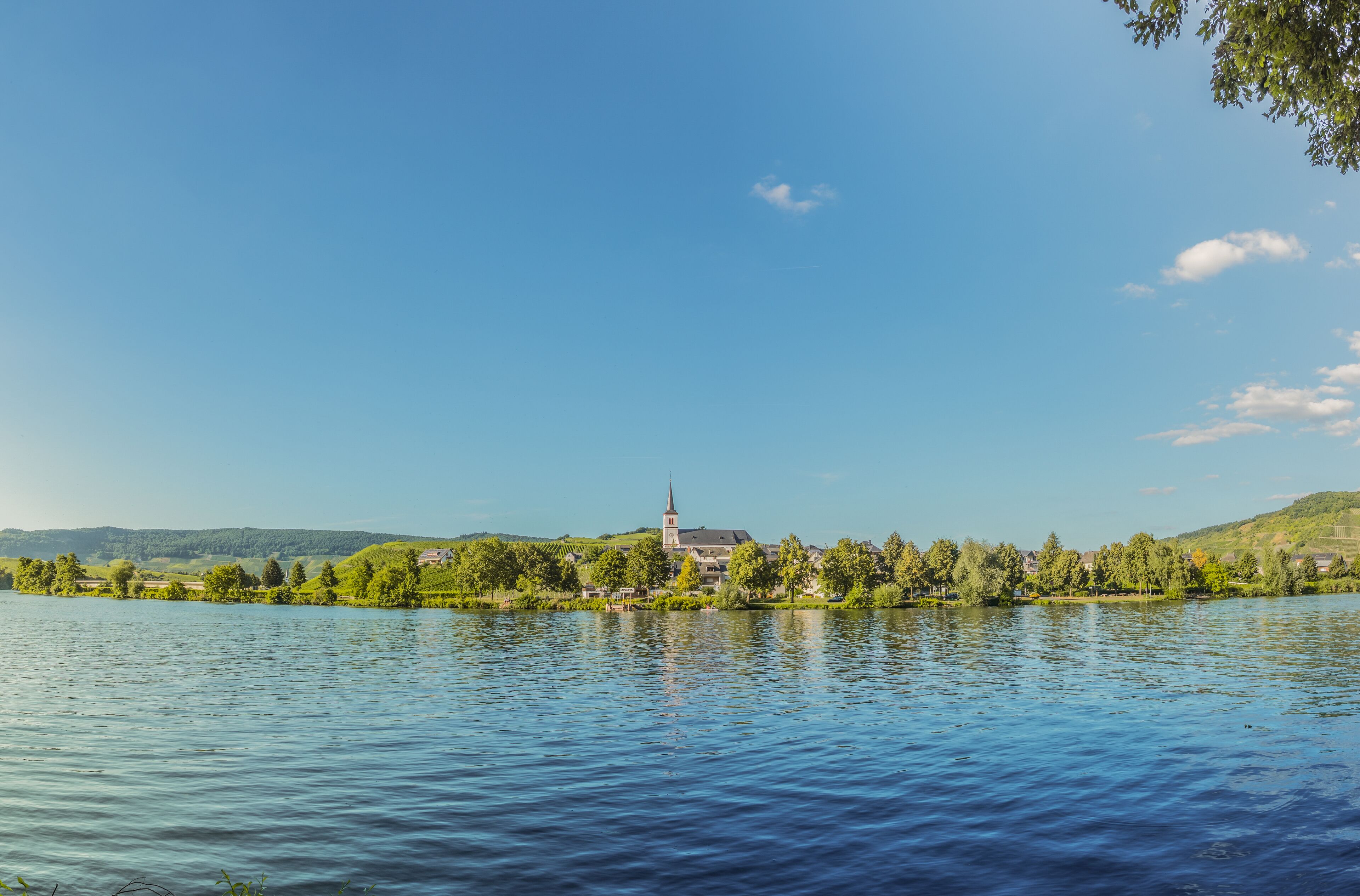Cozy holiday in the winery on the Middle Mosel
