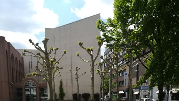 Un estacionamiento con automóviles, un edificio de fachada moderna y árboles.