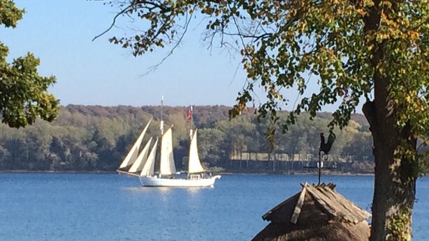 A sailboat on a lake with a thatched-roof structure in the foreground. - Troense B&B by the sea (Svendborg)
