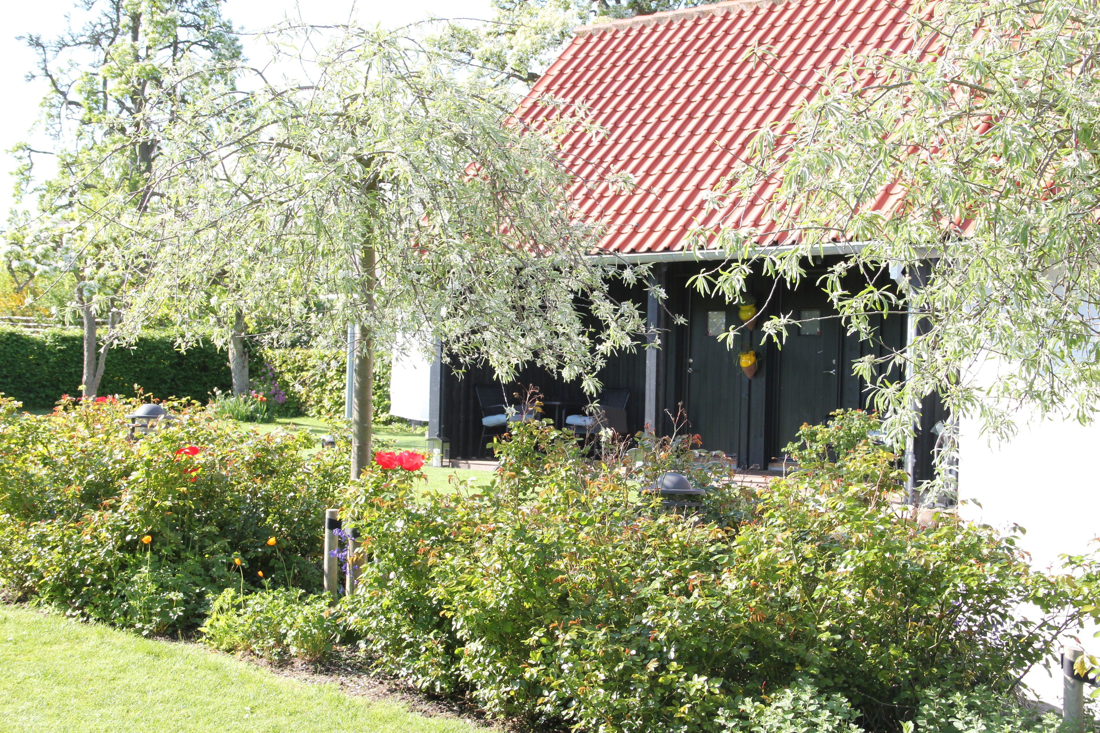 Un bâtiment coiffé d’un toit recouvert de tuiles rouges, entouré d’une végétation luxuriante et de plantes en fleurs.