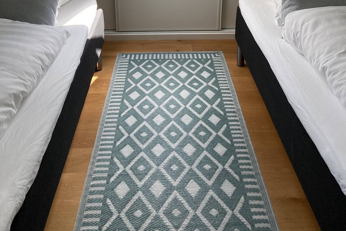A small, modern room with two beds, a skylight, and a patterned rug.