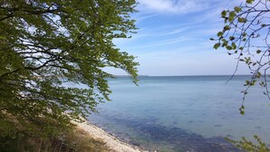 A clear view of a calm body of water with a distant shoreline and a tree-lined foreground. - Troense B&B by the sea (Svendborg)