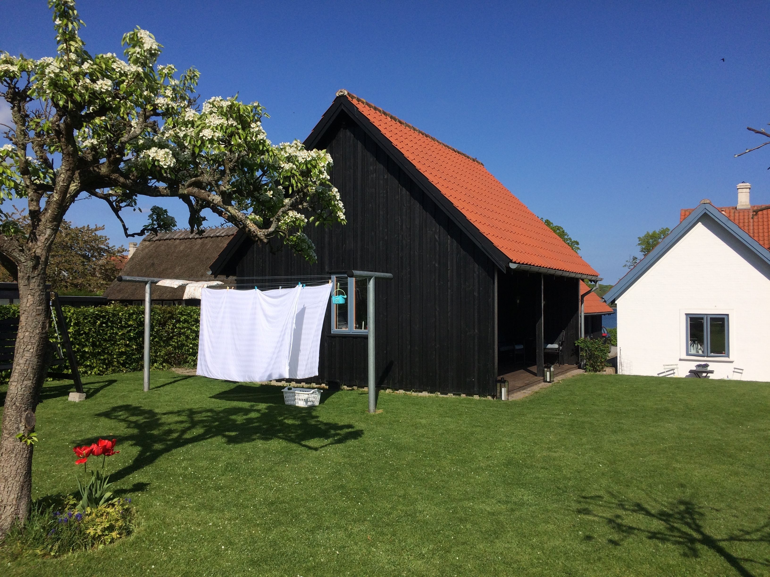 Ein Haus mit rotem Dach, schwarzem Mauerwerk und weißen Fassaden. Eine Wäscheleine mit weißer Wäsche, ein Baum mit weißen Blüten und eine Rasenfläche sind zu sehen.