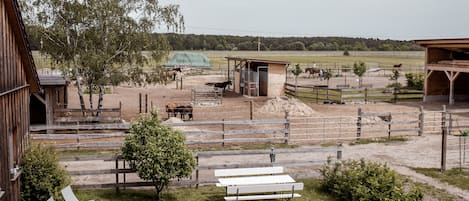 Terrein van de accommodatie