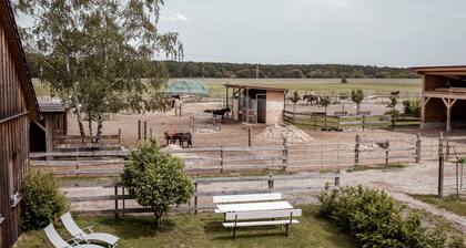Südhof Döbbrick, Ferienzimmer